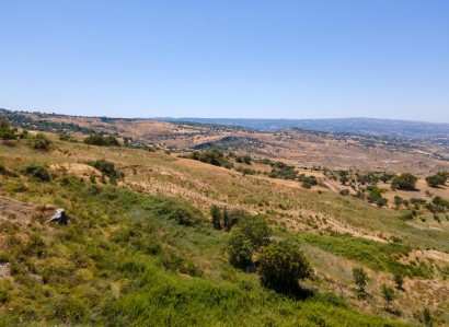 Fyti, Paphos Agricultural Field For Sale | WW30036