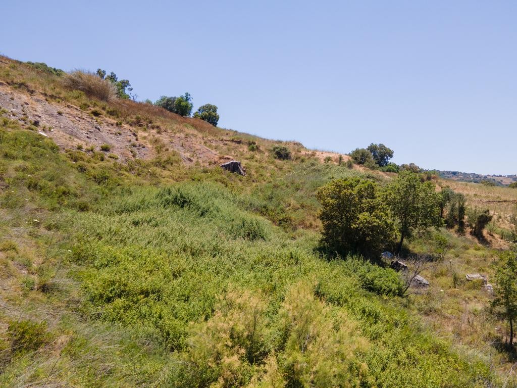 Agricultural Field For Sale  in  Fyti