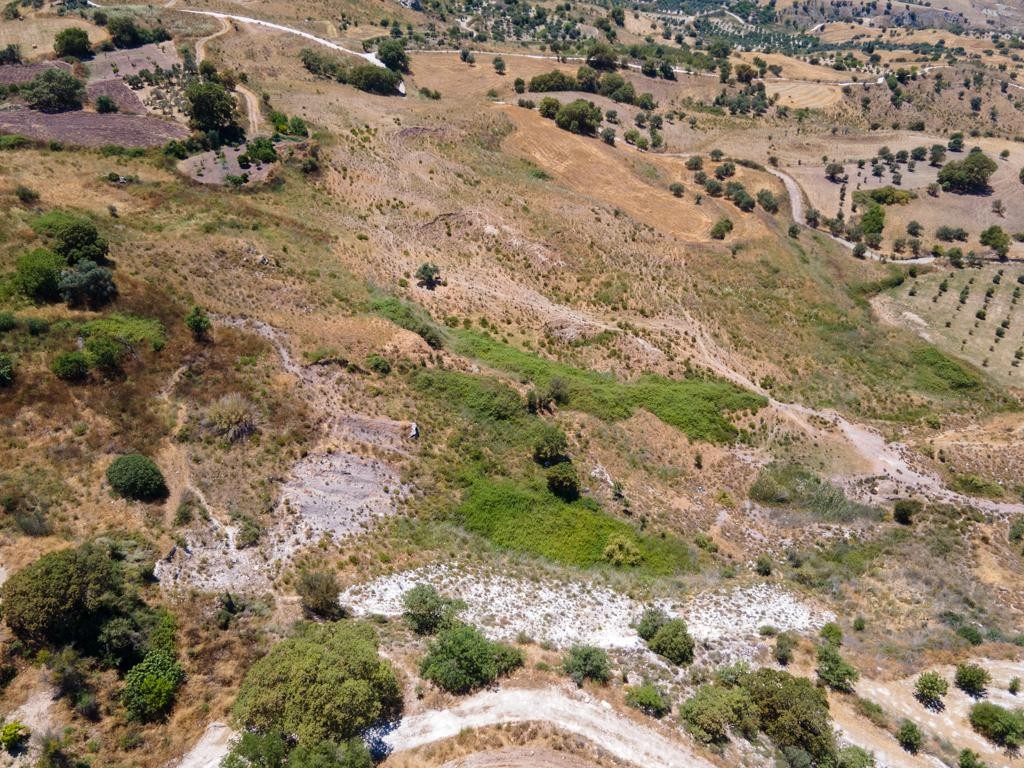 Agricultural Field For Sale  in  Fyti