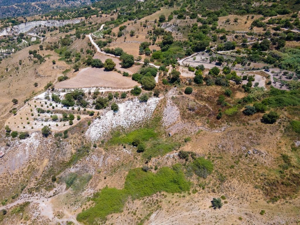 Agricultural Field For Sale  in  Fyti