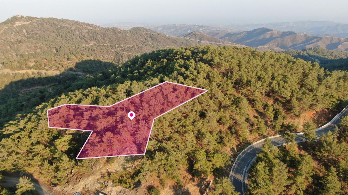 (Share) Residential field in Vavatsinia in Larnaca