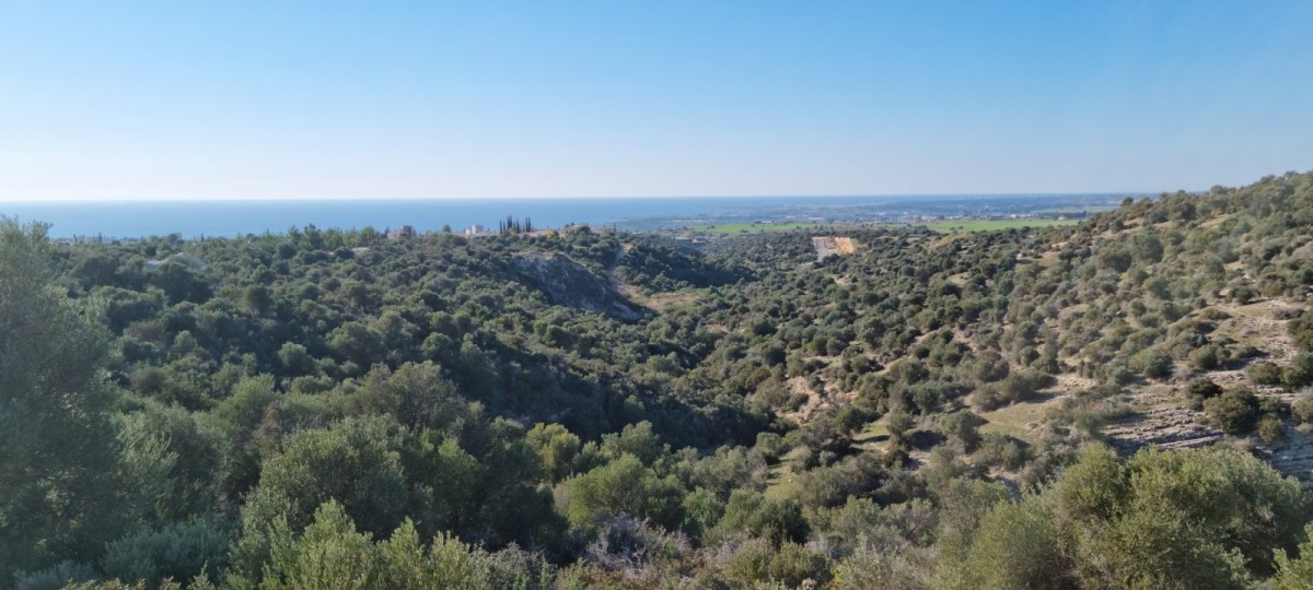 Detached Villa For Sale  in  Kouklia - Secret Valley