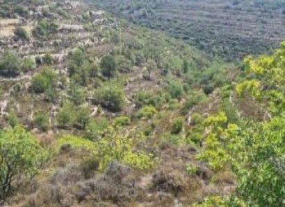 Ayios Therapon Agricultural Field For Sale | WW30120