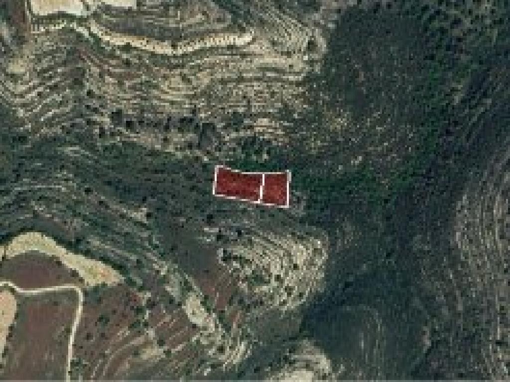 Field - Agios Therapon, Limassol