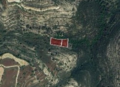 Ayios Therapon Agricultural Field For Sale | WW30120