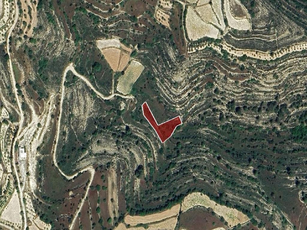 Field - Agios Therapon, Limassol