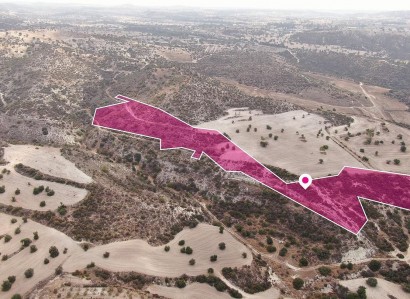 Skarinou, Larnaca Agricultural Field For Sale | WW30133