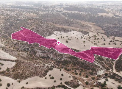 Skarinou, Larnaca Agricultural Field For Sale | WW30133