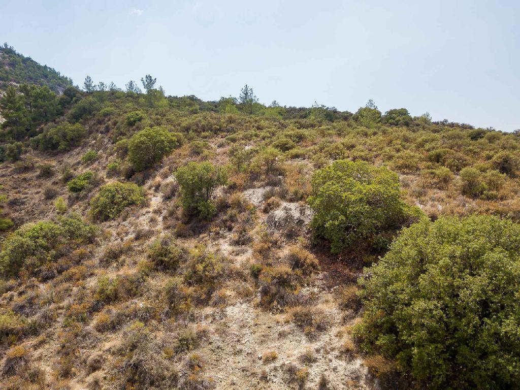 Field - Trimiklini, Limassol