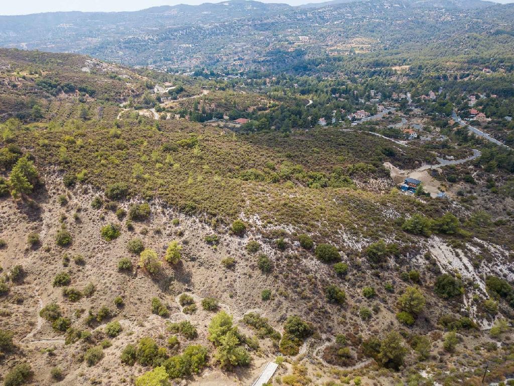 Field - Trimiklini, Limassol