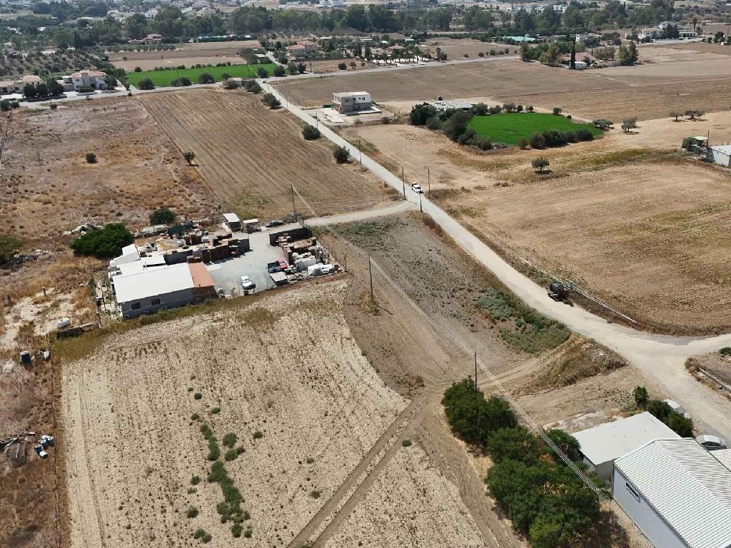 Field - Dali, Nicosia