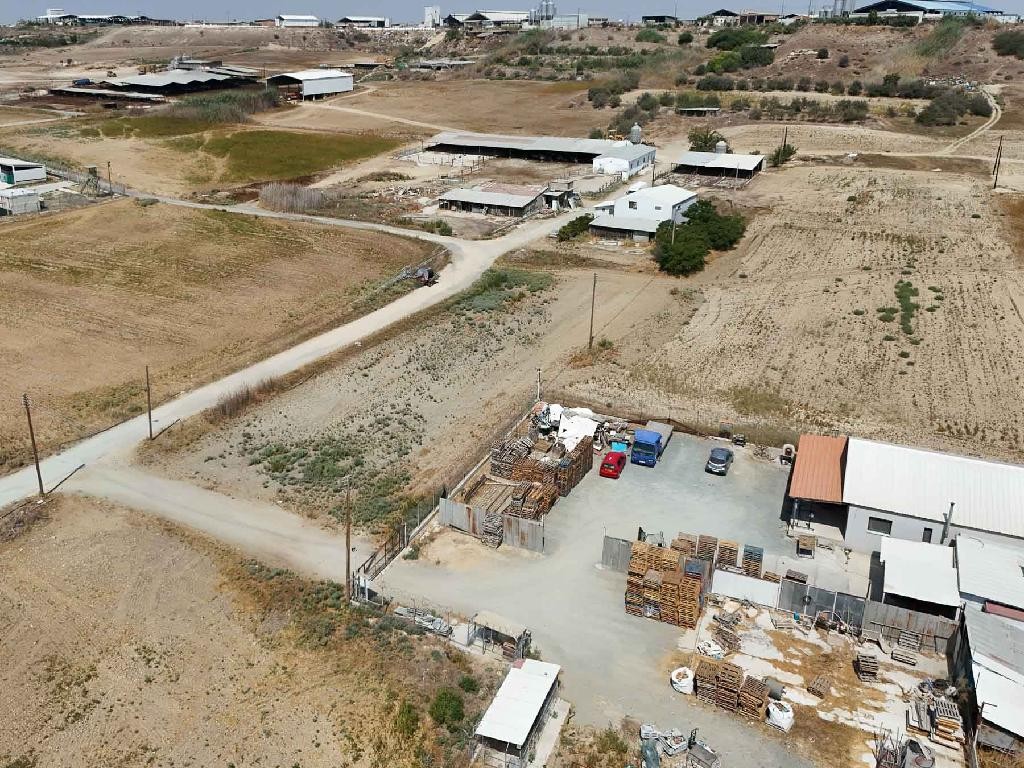 Field - Dali, Nicosia