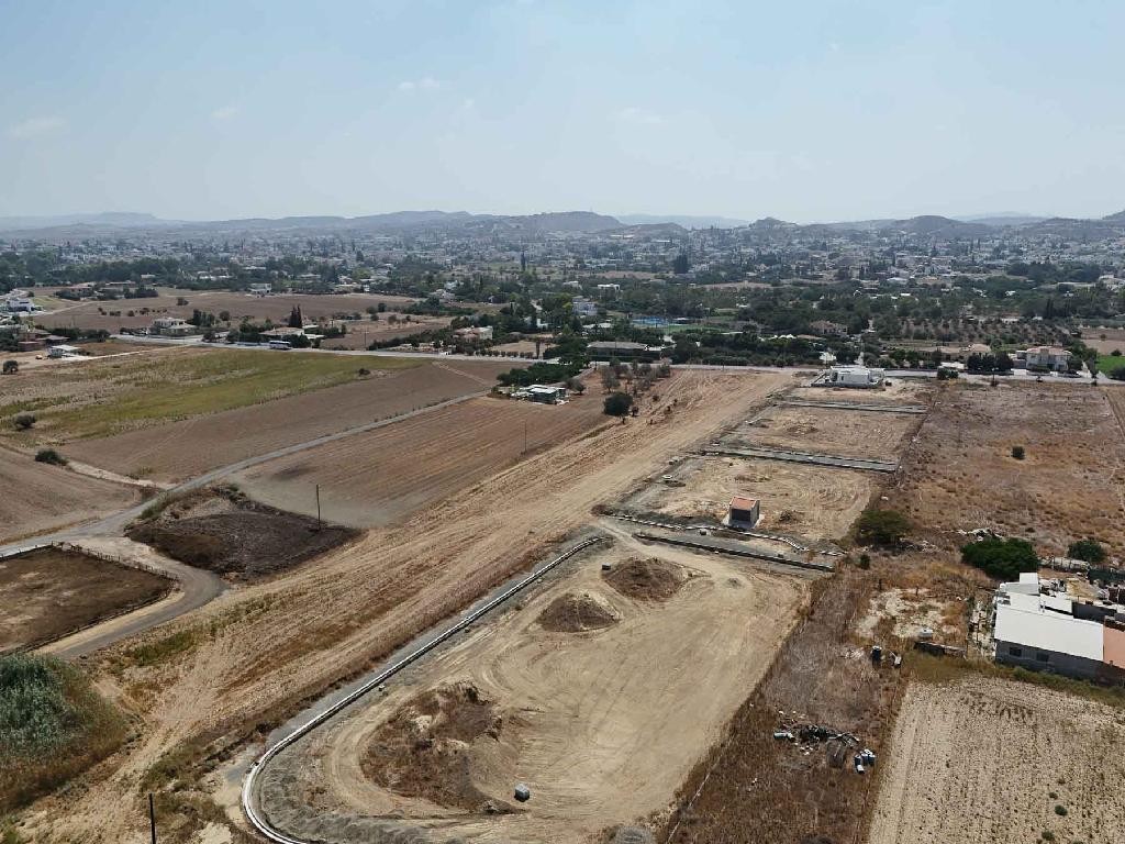 Field - Dali, Nicosia