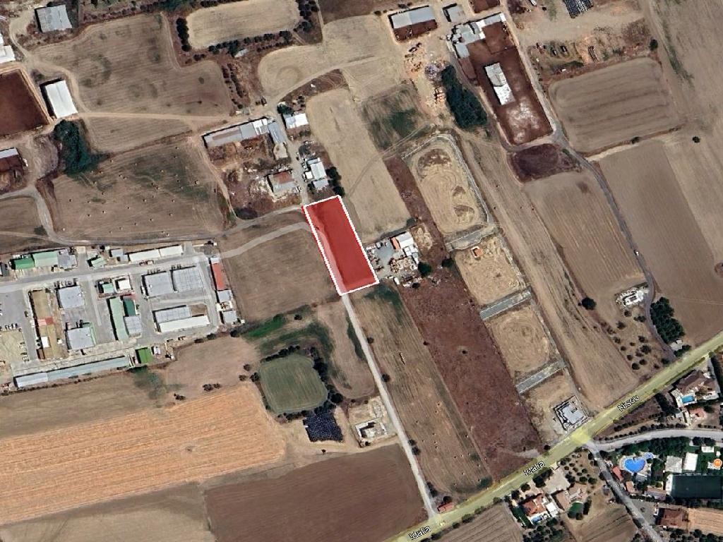 Field - Dali, Nicosia