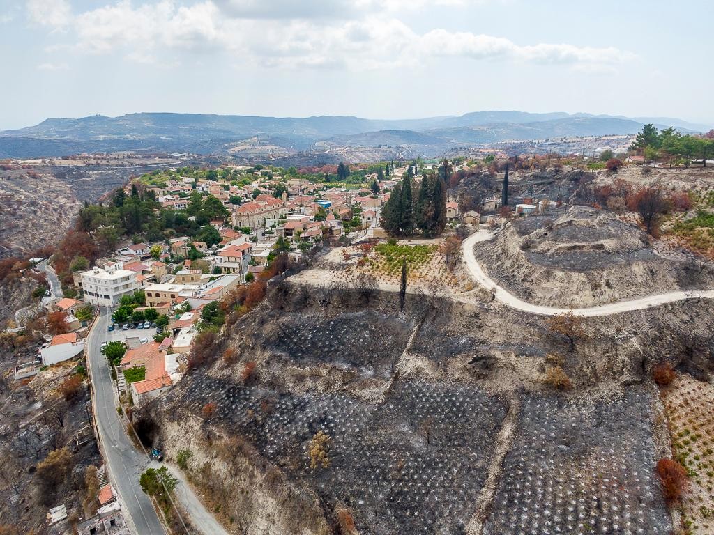 Field - Vasa Koilaniou, Limassol