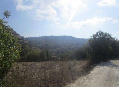 Kallepeia, Paphos Agricultural Field For Sale | WW30177
