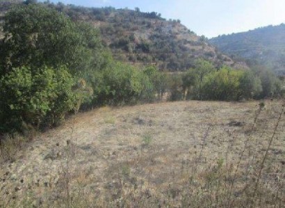 Kallepeia, Paphos Agricultural Field For Sale | WW30177