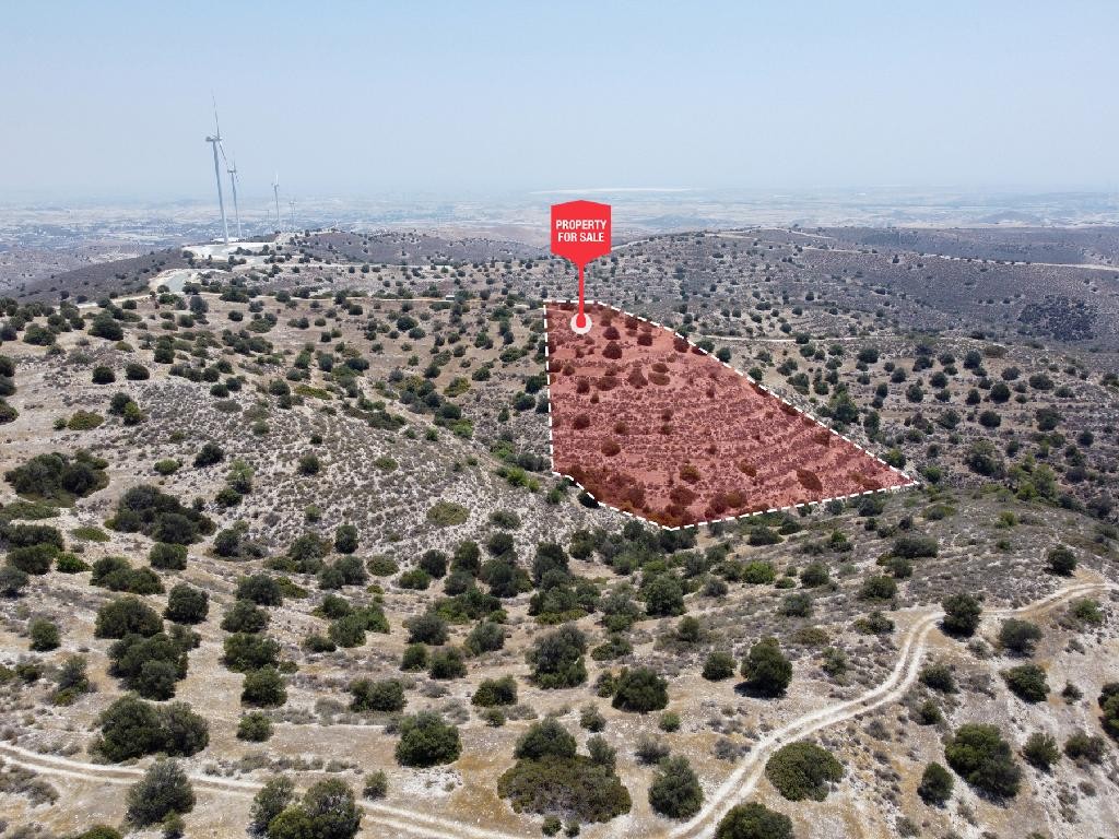Field - Psevdas, Larnaca
