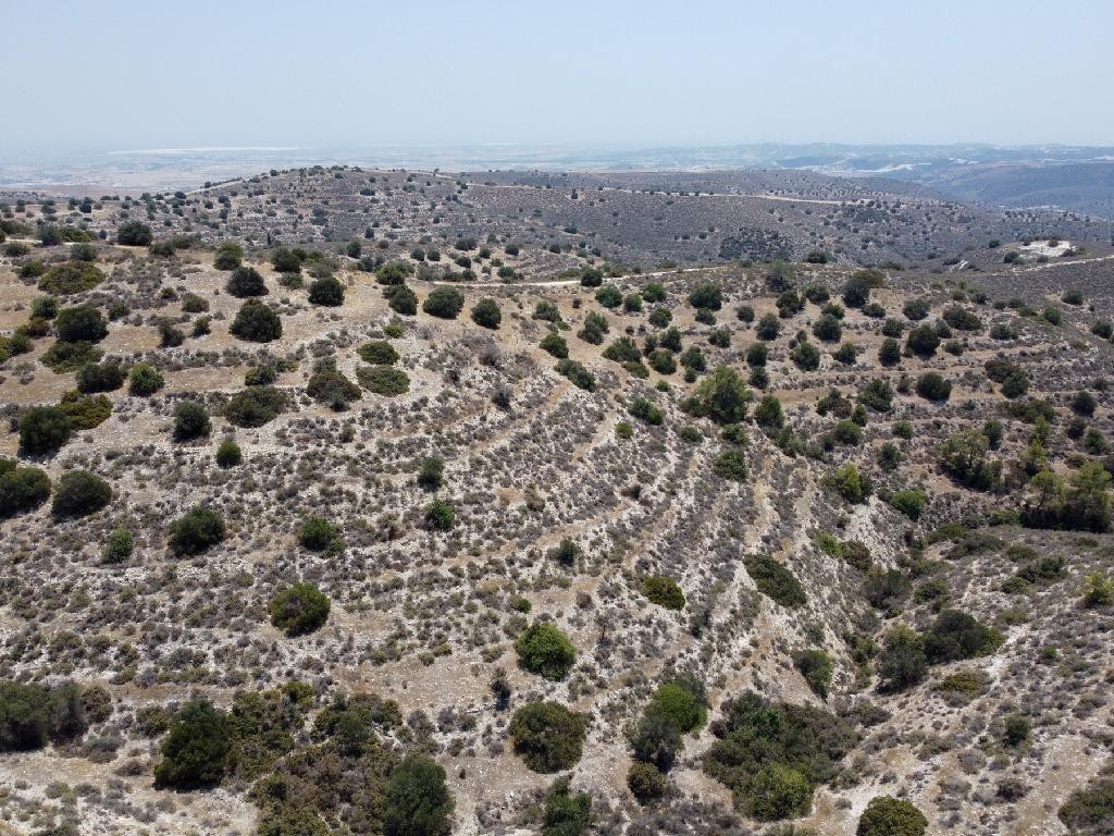 Field - Psevdas, Larnaca