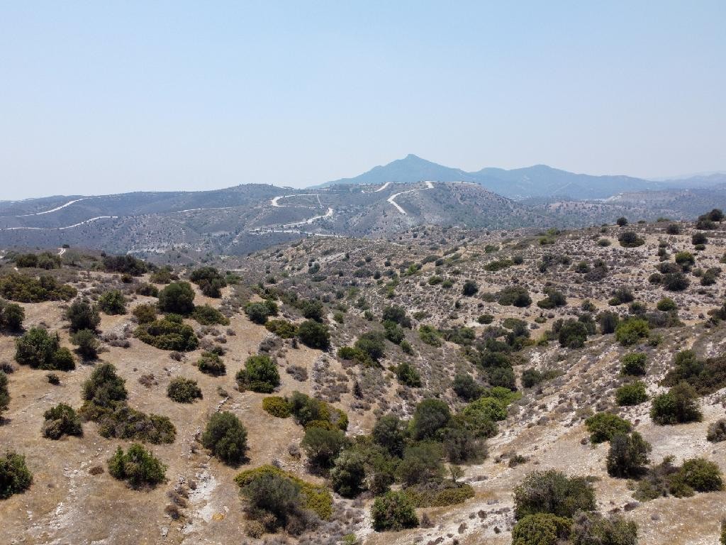 Field - Psevdas, Larnaca