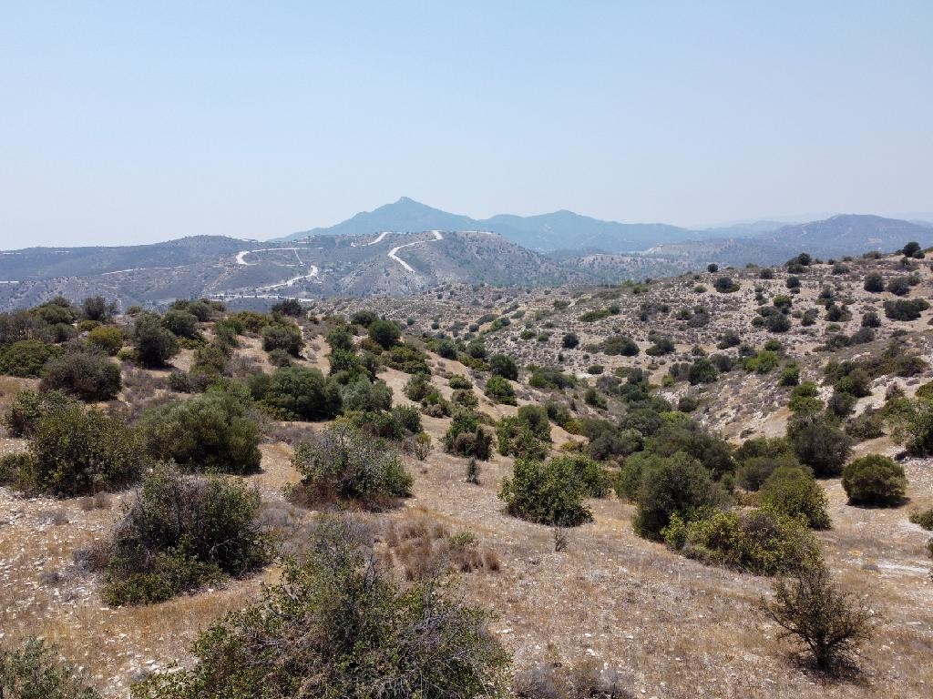 Field - Psevdas, Larnaca
