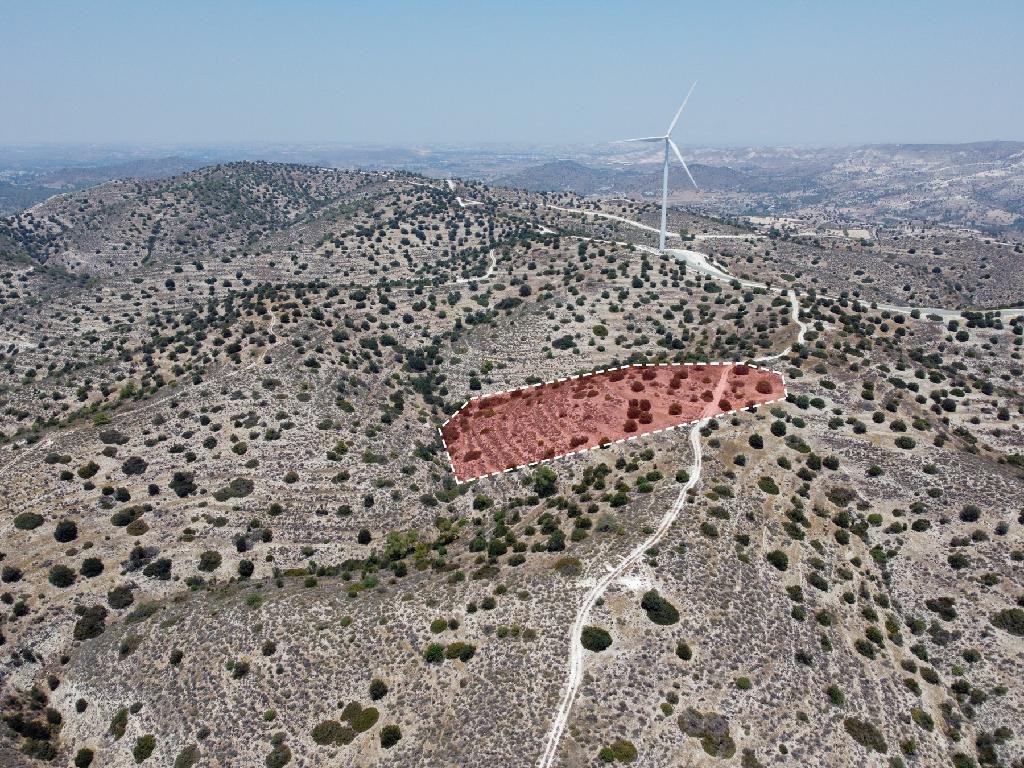 Field - Psevdas, Larnaca
