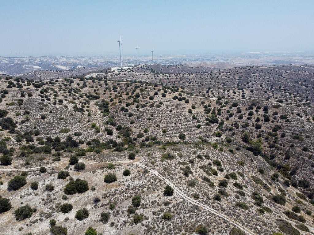 Field - Psevdas, Larnaca