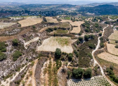 Stroumbi, Paphos Agricultural Field For Sale | WW30208