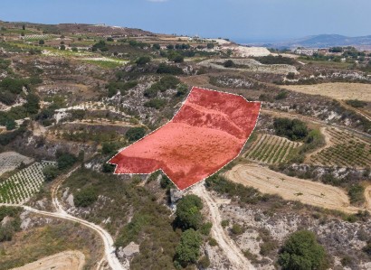 Stroumbi, Paphos Agricultural Field For Sale | WW30208