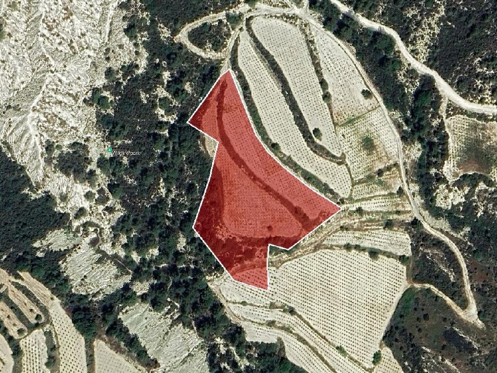 Field - Kapileio, Limassol