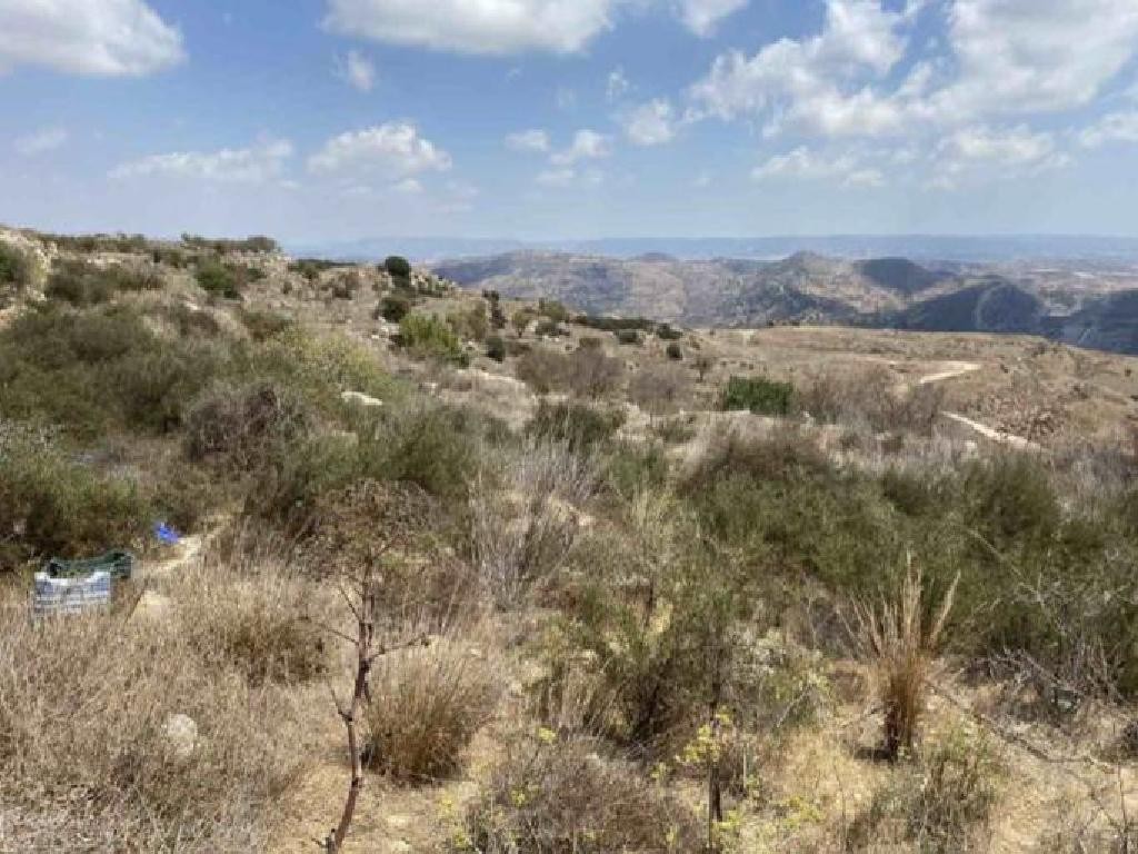 Agricultural Field For Sale  in  Marathounta