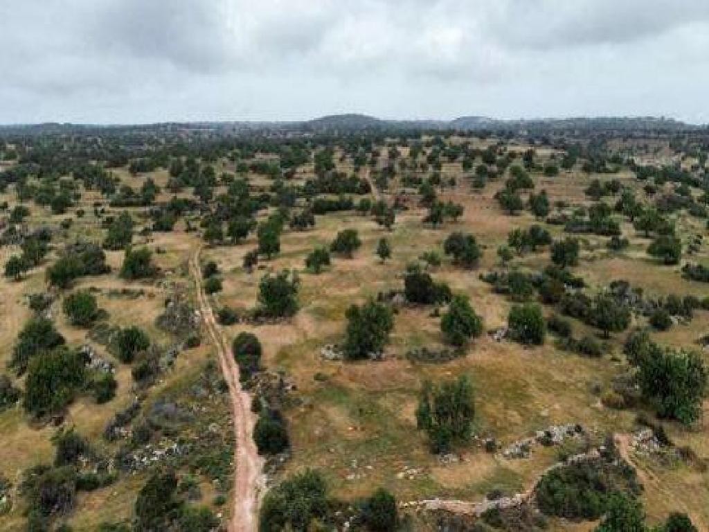 Pachna, Limassol Agricultural Field For Sale | WW30230