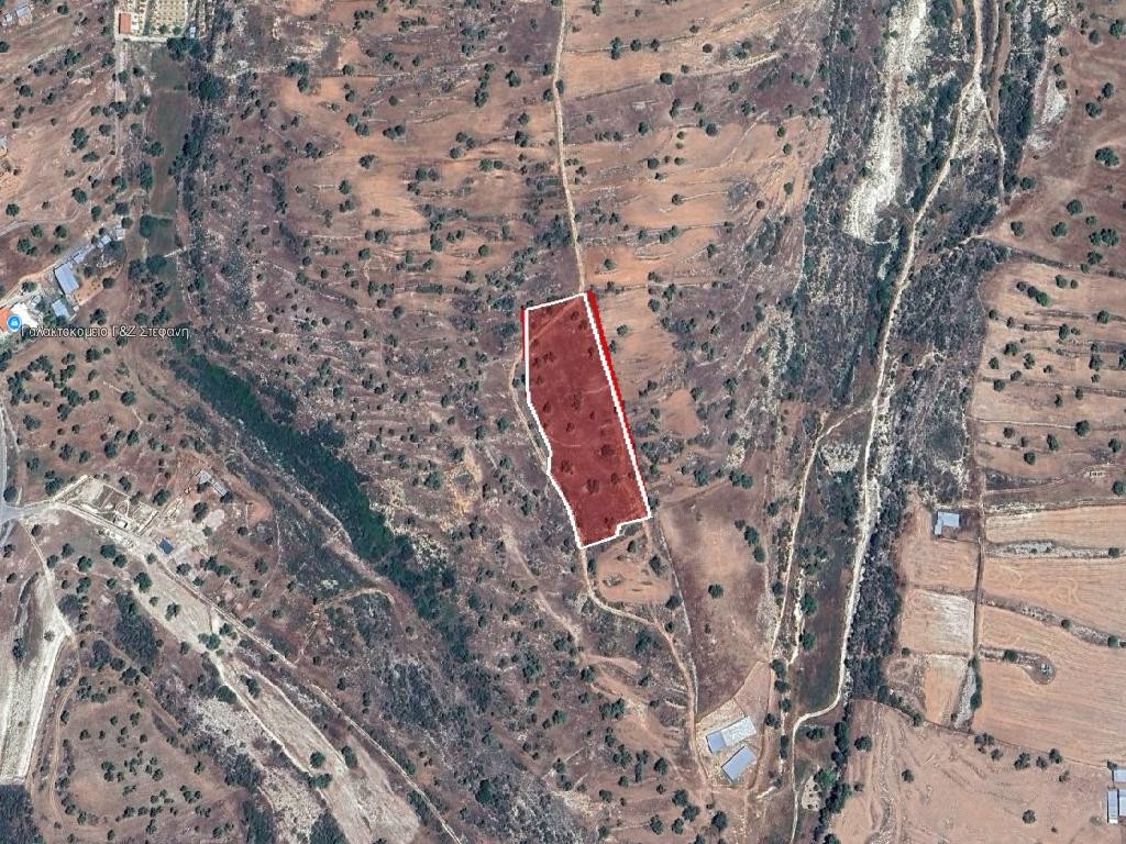 Field - Pachna, Limassol