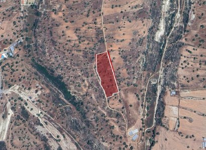 Pachna, Limassol Agricultural Field For Sale | WW30230