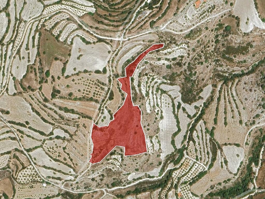 Field - Αmargeti, Paphos