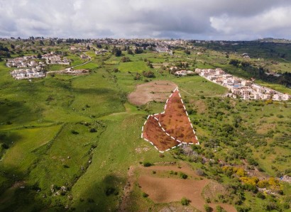 Drouseia, Paphos Agricultural Field For Sale | WW30240