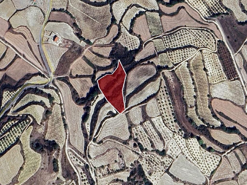 Field - Letymvou, Paphos