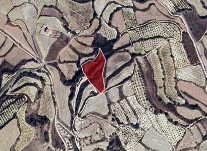 Letymvou, Paphos Agricultural Field For Sale | WW30244