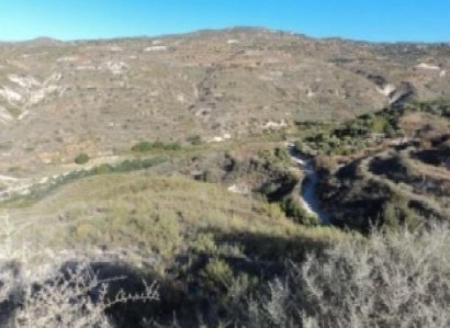 Kedares, Paphos Agricultural Field For Sale | WW30251