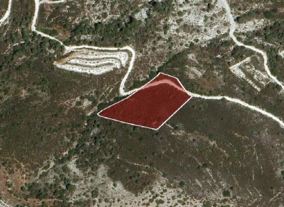 Kedares, Paphos Agricultural Field For Sale | WW30251