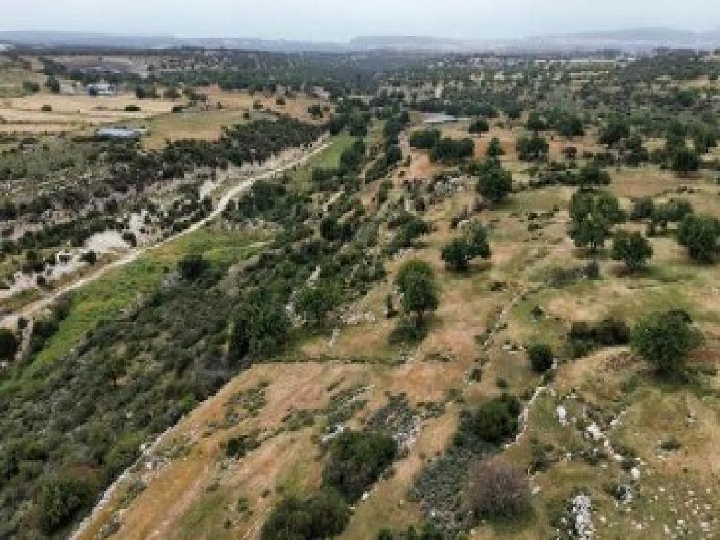 Pachna, Limassol Agricultural Field For Sale | WW30263