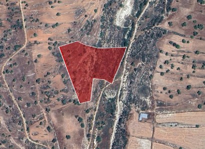 Pachna, Limassol Agricultural Field For Sale | WW30263