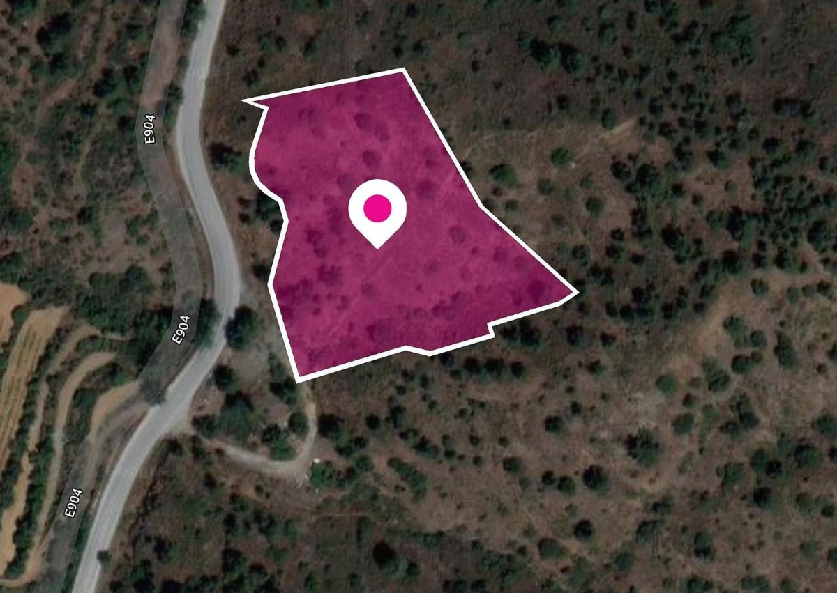 Gourri, Nicosia Agricultural Field For Sale | WW30265