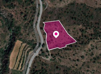 Gourri, Nicosia Agricultural Field For Sale | WW30265