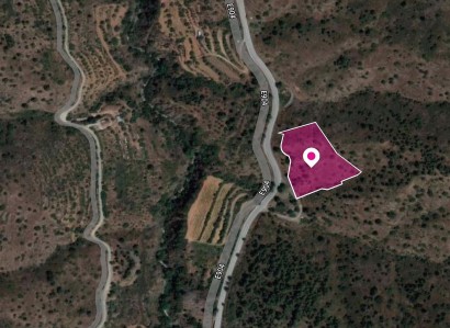 Gourri, Nicosia Agricultural Field For Sale | WW30265