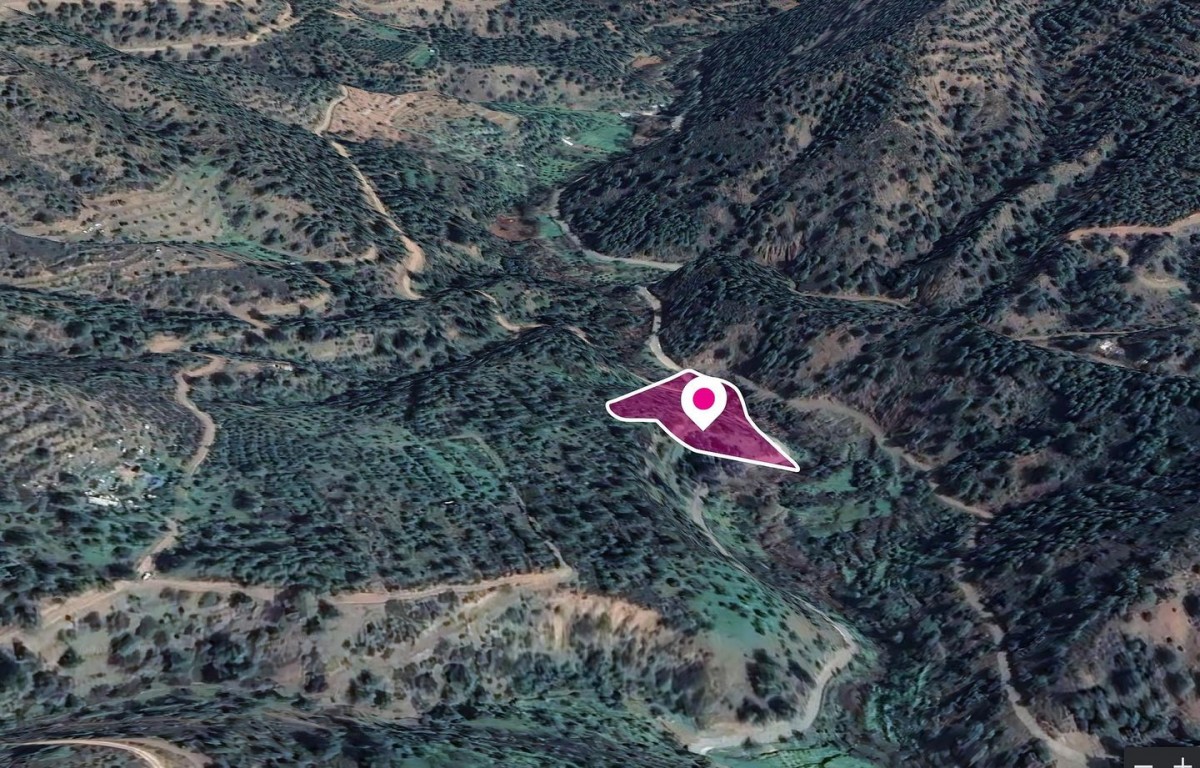 Agricultural Field, Kampos