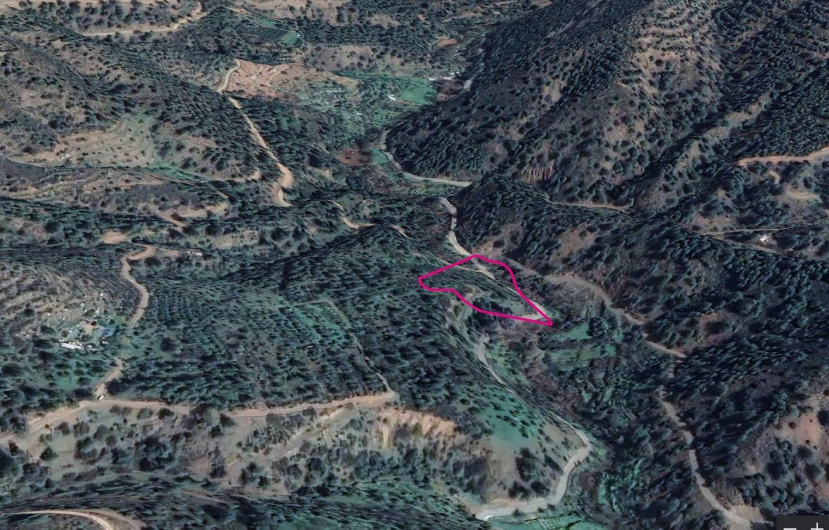 Agricultural Field, Kampos