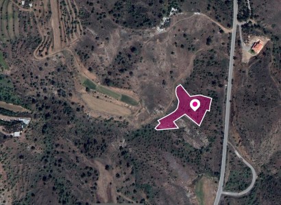 Agia Marina, Nicosia Agricultural Field For Sale | WW30270