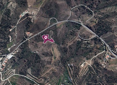 Agia Marina, Nicosia Agricultural Field For Sale | WW30270