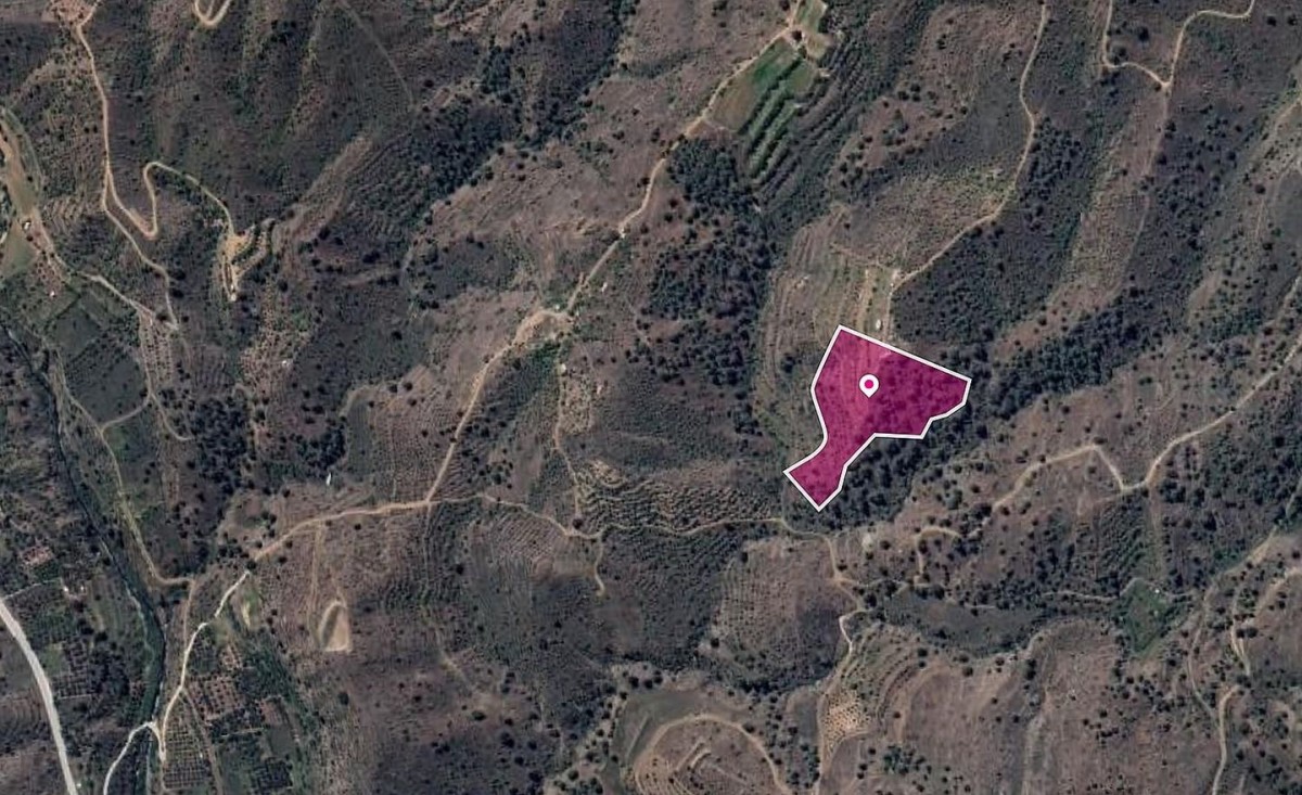 Agricultural field, Platanistasa